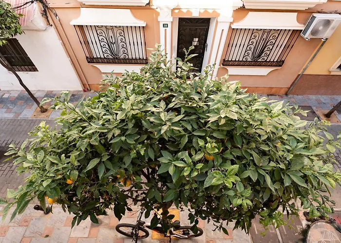Town In Centre * فوينخيرولا